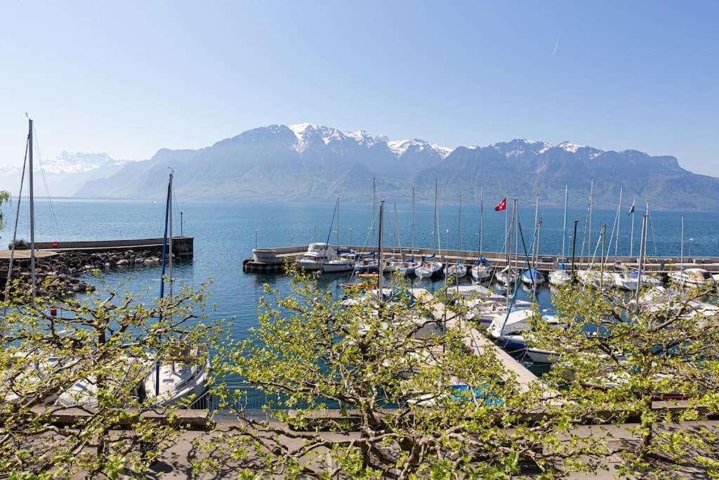 Lakeside-Apartment-1 Grand Appartement Familial Avec Terrasses Et Vue Panoramique Vevey Luaran gambar